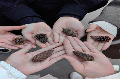 一花一世界 一葉一菩提