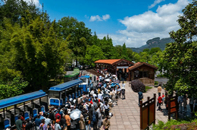 假期旅行中嘔吐袋和垃圾袋的必要性